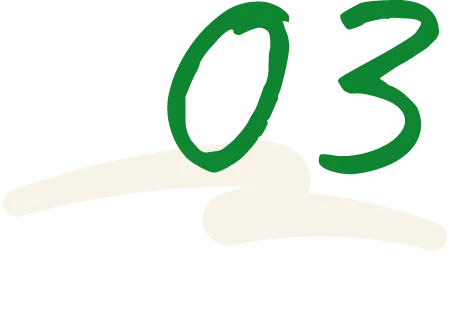 03